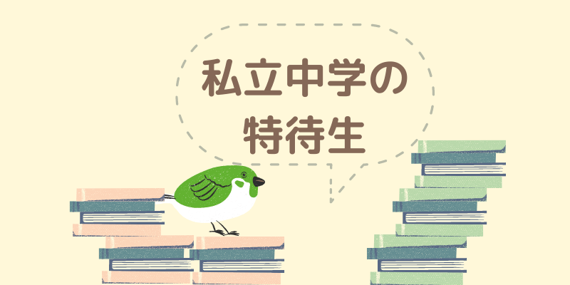 鳥と本がたくさん