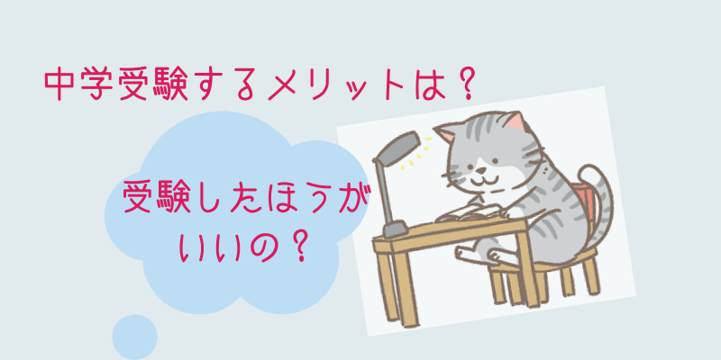 猫が机で勉強してる絵